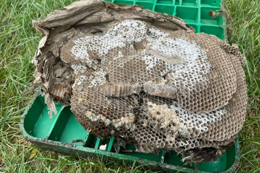 Honeycomb attached to utility cover