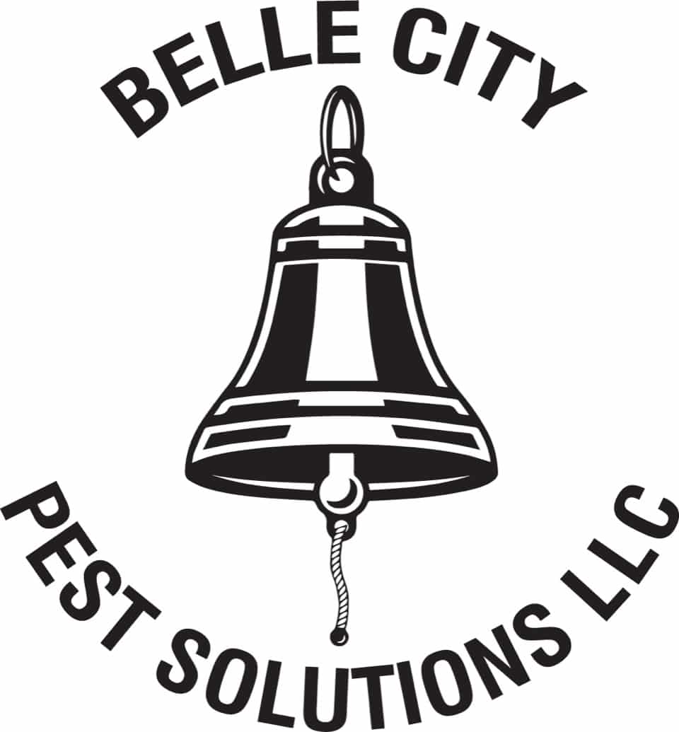 Belle City Pest Solutions