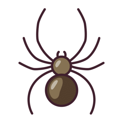 Spider icon